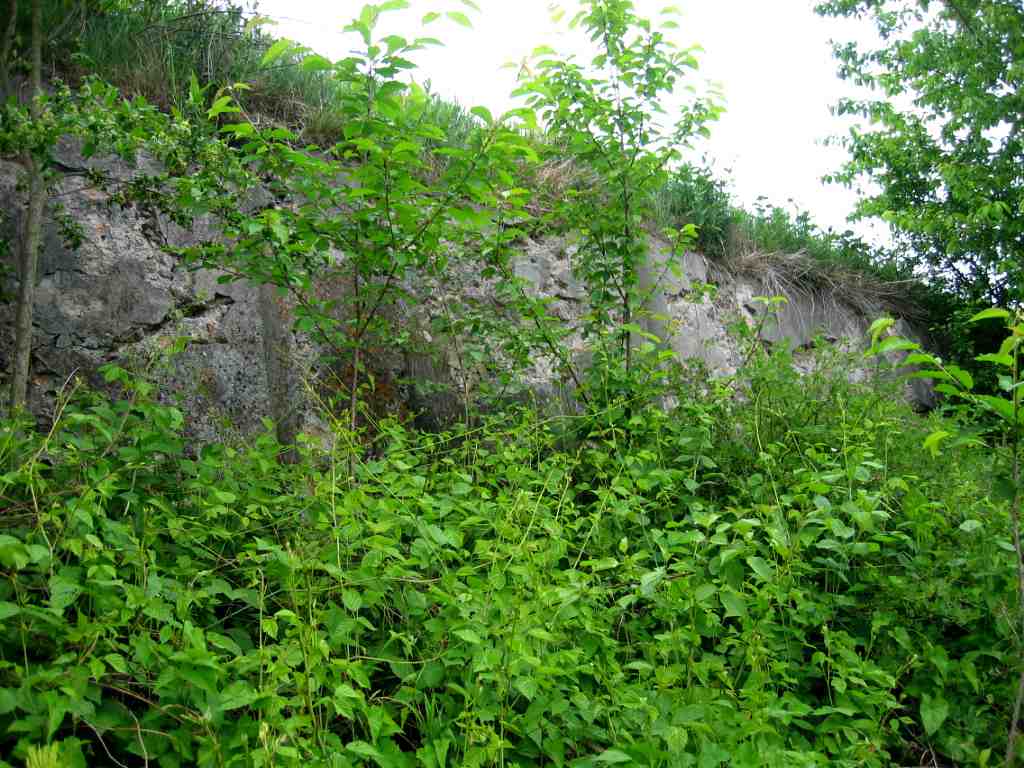 Mur oporowy kirkutu od strony buyska (fot. H. urawski 2006)